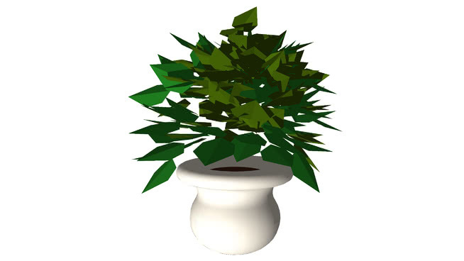 盆栽植物 其他 茶杯 菠萝