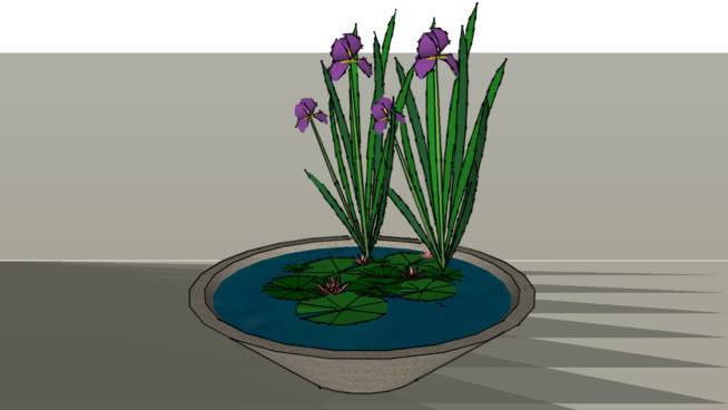 池塘播种机 其他 花盆