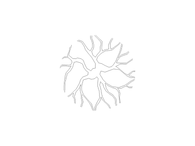 常用植物图例 常春油麻藤