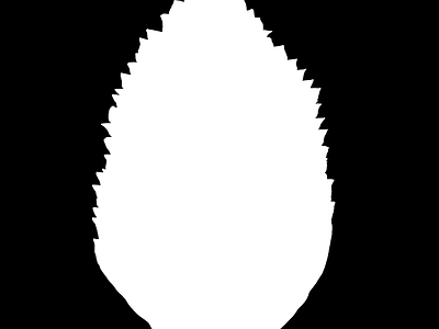 高光