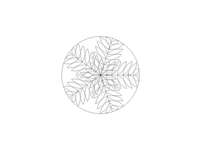 备用植物图例 国王椰子