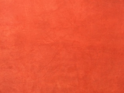 皮质细纹 (137).JPG