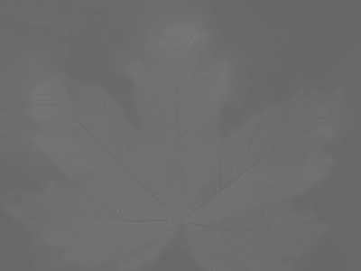 花纹布纹