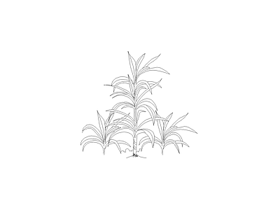 灌木种植 常用植物图例