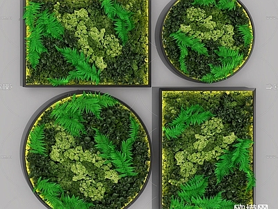 现代苔藓植物墙