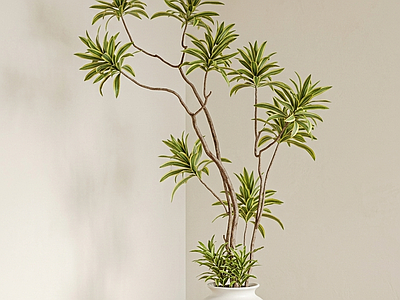 艺术绿植盆栽