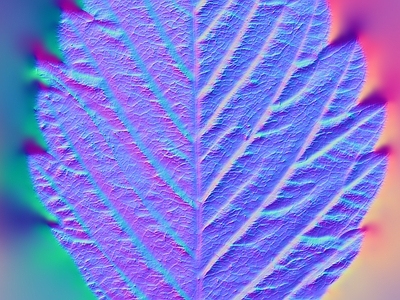其他法线