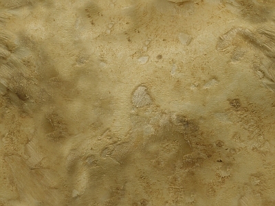 马来漆