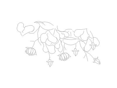 花 总图块
