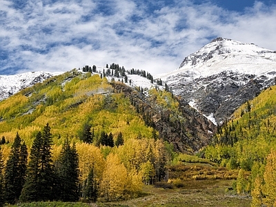 风景