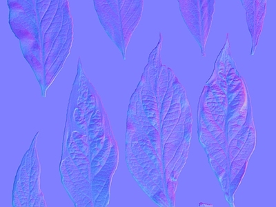 其他法线