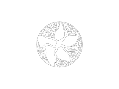 常用植物图例 白玉兰