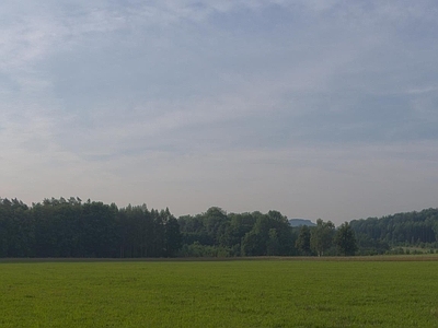 草地