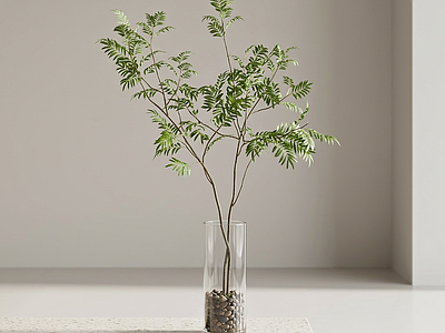 桌面绿植盆栽