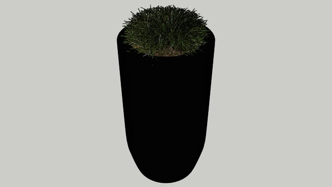 盆栽植物 火柴 海参 刷子