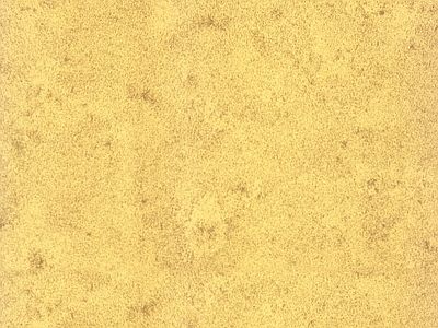 硅藻泥