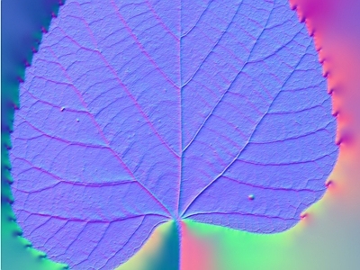 其他法线