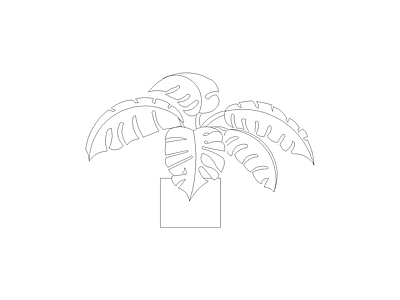 绿植 盆栽