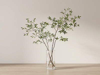 艺术绿植灌木