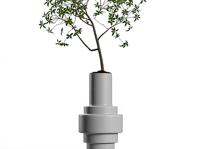 带盆绿植模型