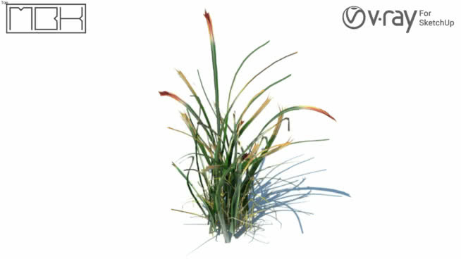 草，高聚合，VRY准备（020） 画 其他 铅笔 饰品