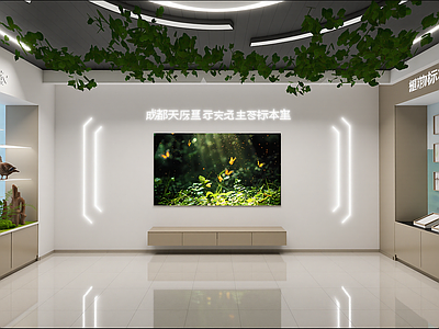 现代其他文化空间