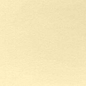 硅藻泥 冻