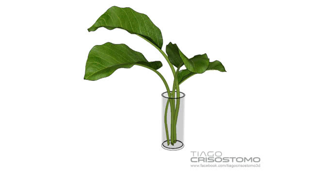 玻璃容器厂 花瓶 瓶子 植物 画 其他