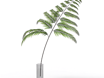 带盆绿色植物模型
