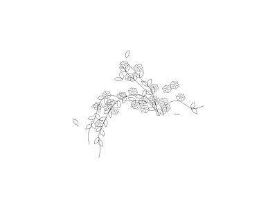 常用植物图例 景墙小花