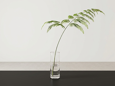 桌面造型绿植草本植物