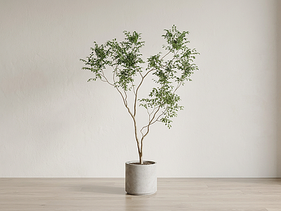 艺术绿植盆栽