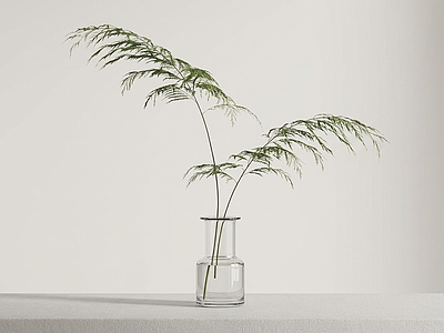 艺术绿植草本植物