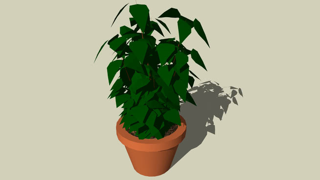 植物 花盆 其他 花瓶