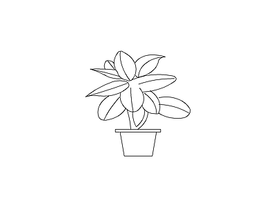绿植 绿植盆栽花盆花卉景观植物庭院绿植绿化盆景