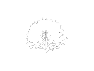 乔木种植 常用植物图例