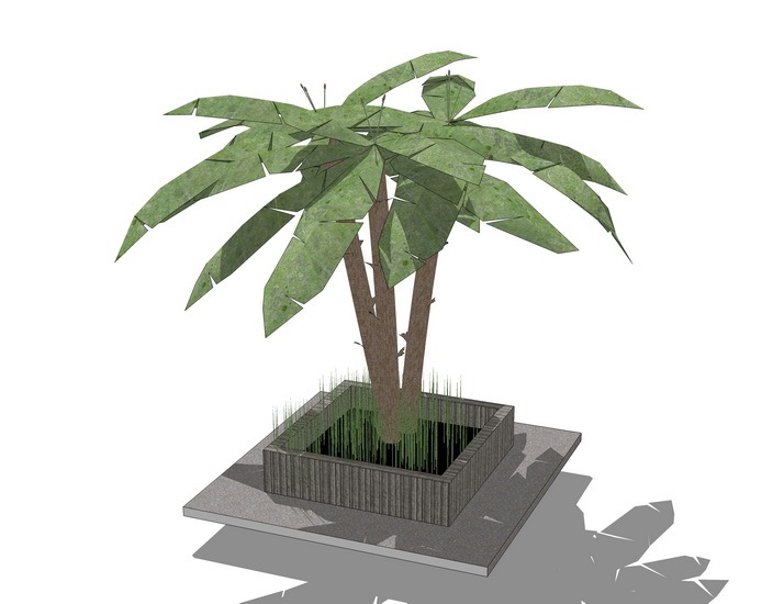 3D植物树