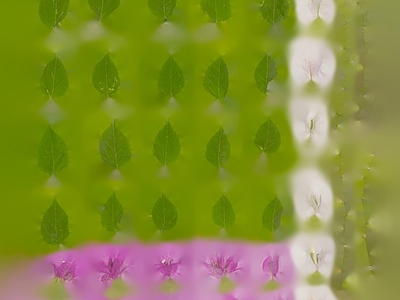 绿植墙