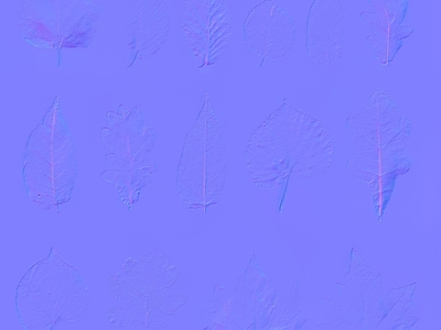 其他法线