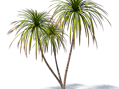 双株棕榈树模型