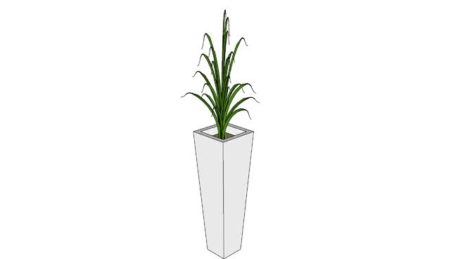 阿兰乔植物 花瓶 植物 其他 画 瓶子