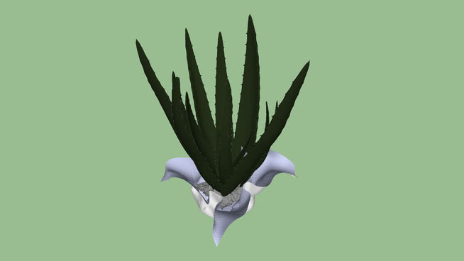 Plant vegetation 3d 鸟 秃鹫 鸢 蜂鸟 喜鹊