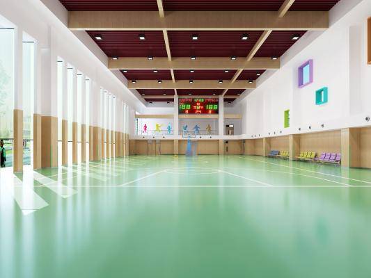 现代小学室内篮球场