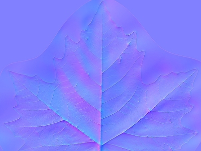 其他法线