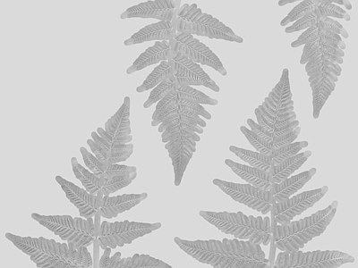 绿植墙