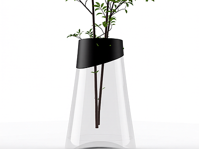 带盆绿植盆栽