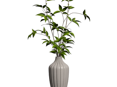 花瓶盆栽装饰