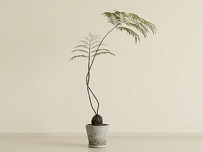 垂吊绿植盆栽