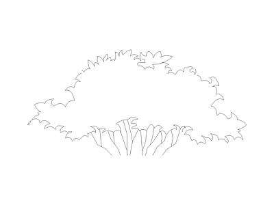 灌木种植 植物图块