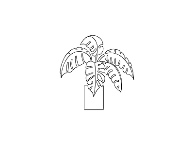 绿植 绿植盆栽花盆花卉景观植物庭院绿植绿化盆景